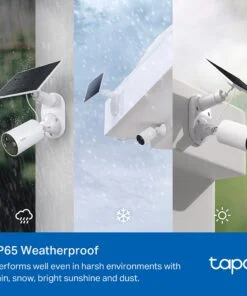 10 large 20240328090056i